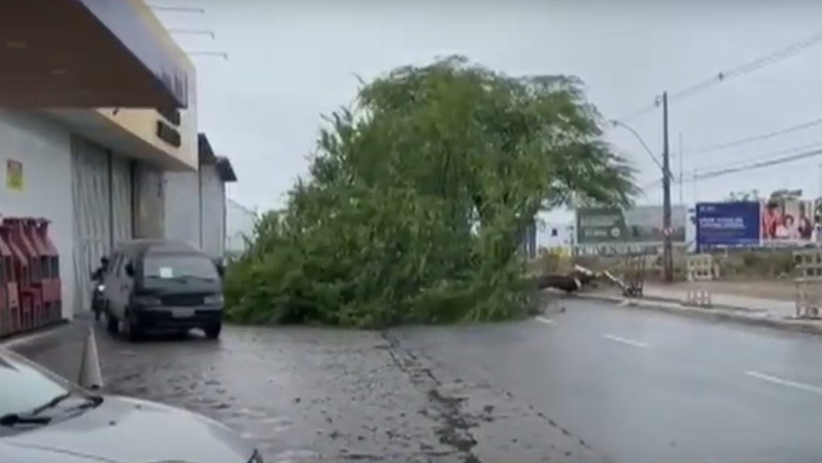 Vídeos mostram estragos provocados pelas chuvas em João Pessoa e