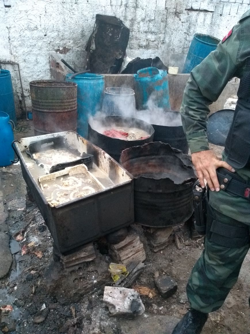 apos-denuncia-policia-ambiental-desativa-matadouro-clandestino-em-jp