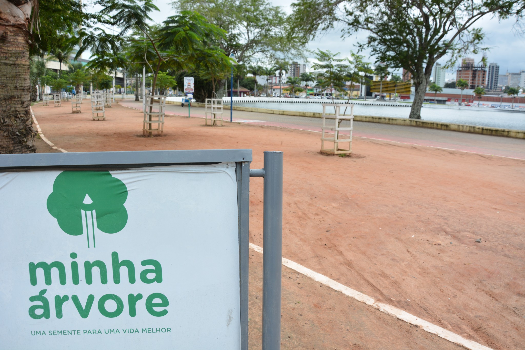 Plantações do projeto cercam o Açude Velho, no Centro de Campina Grande (Foto: Chico Martins/Jornal Correio da Paraíba)