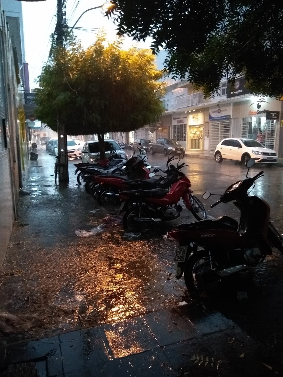 Patos