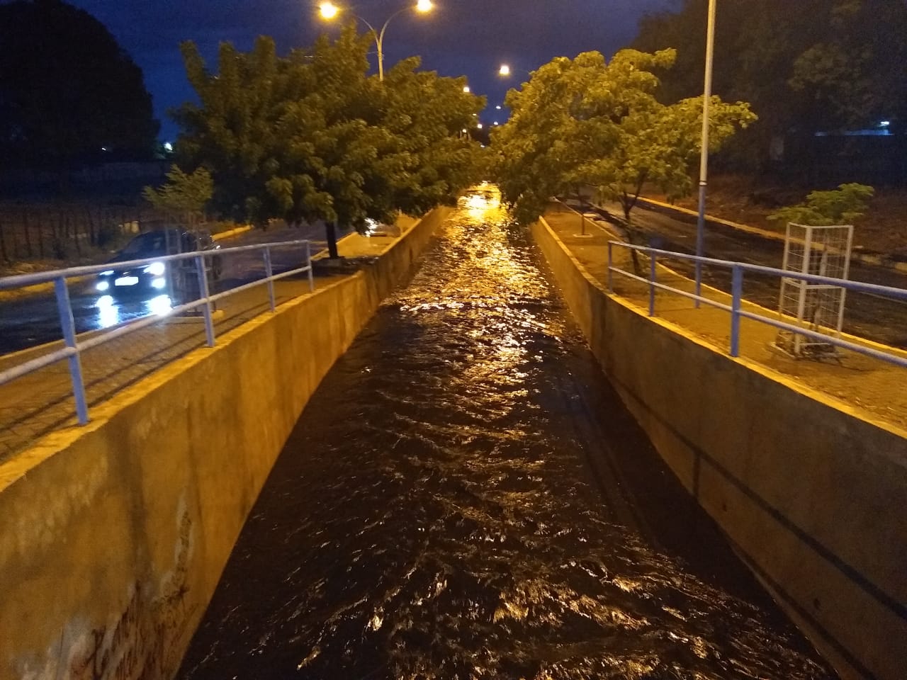Patos