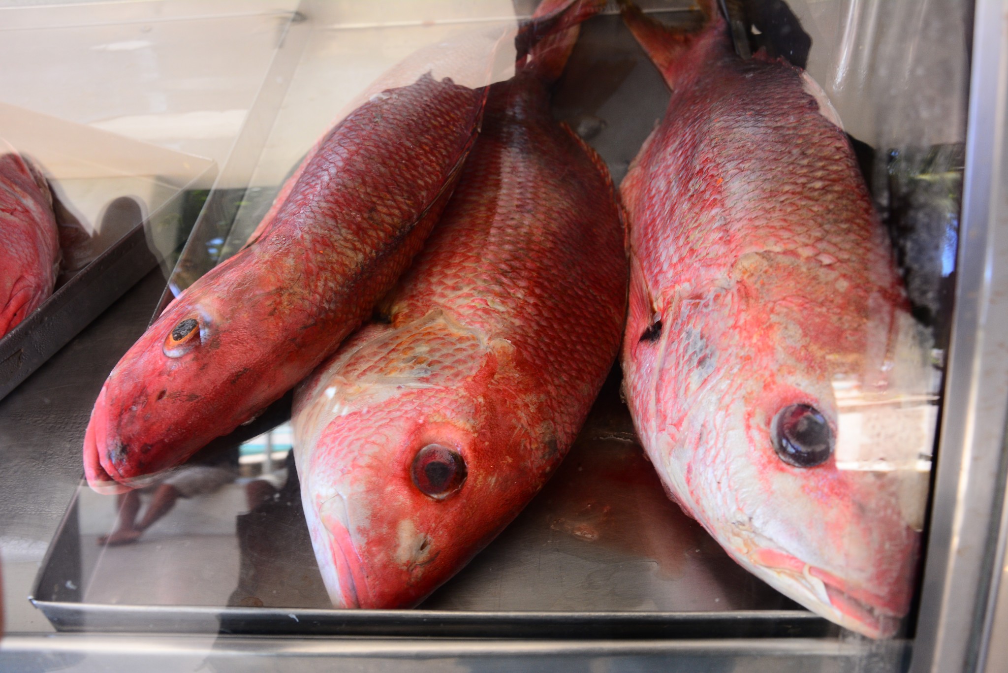 Peixe