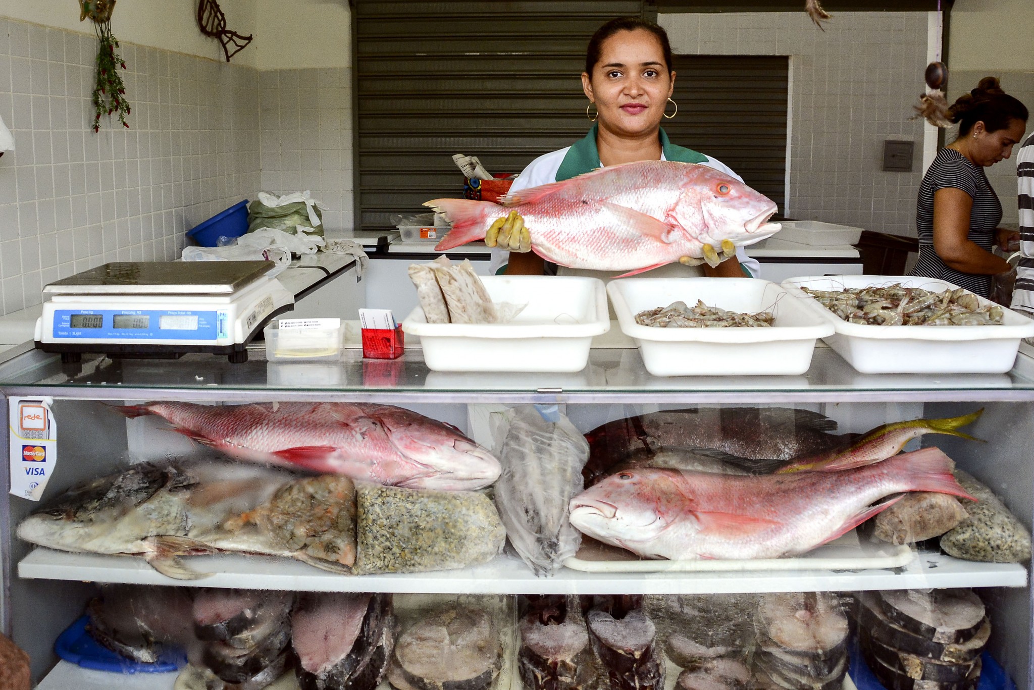 Semana do Pescado, Pescado, Peixe
