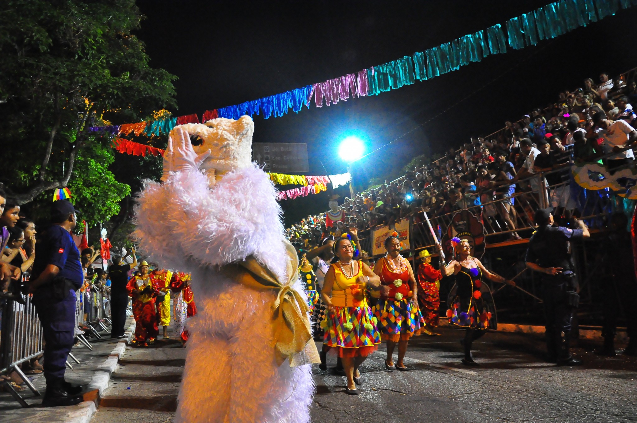 Carnaval Tradição JP