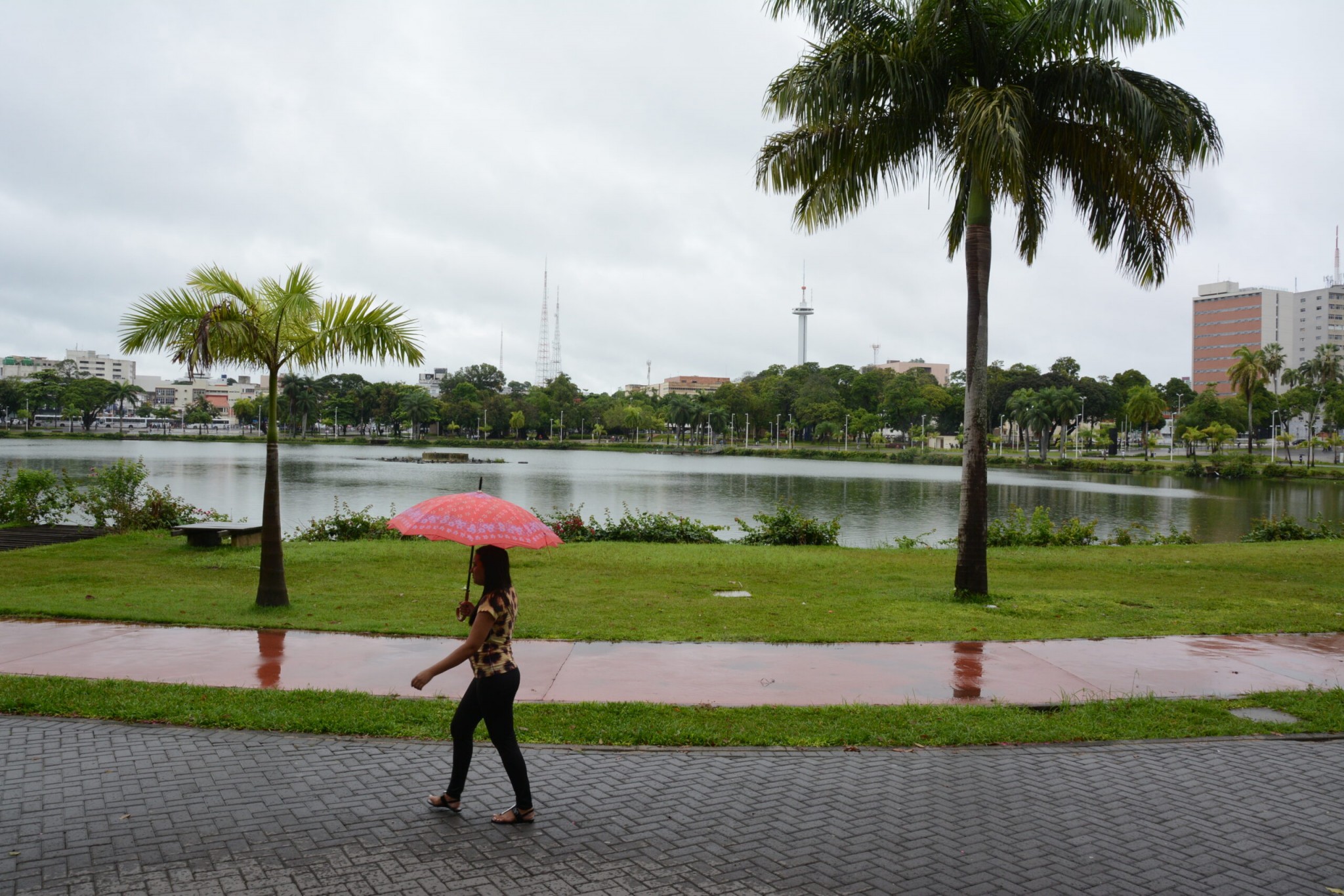 Nublado, Previsão do tempo, Céu parcialmente nublado, Fim de semana