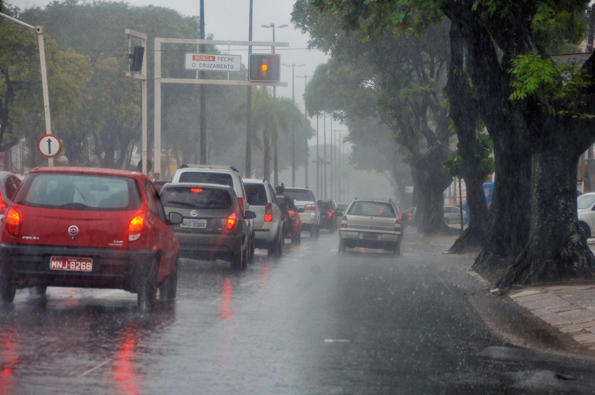 Chuva