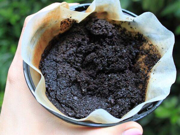 Borra de café