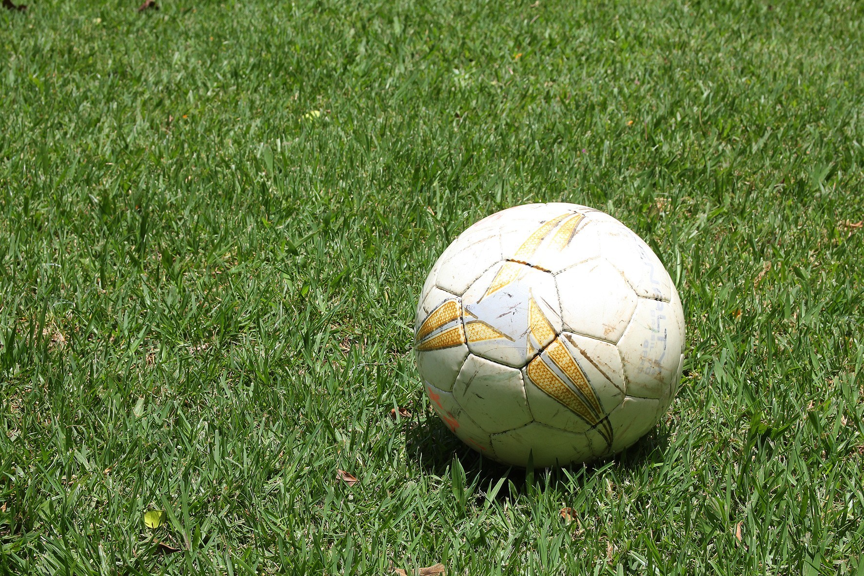 Futebol
