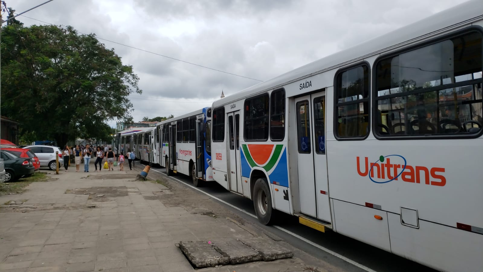Ônibus