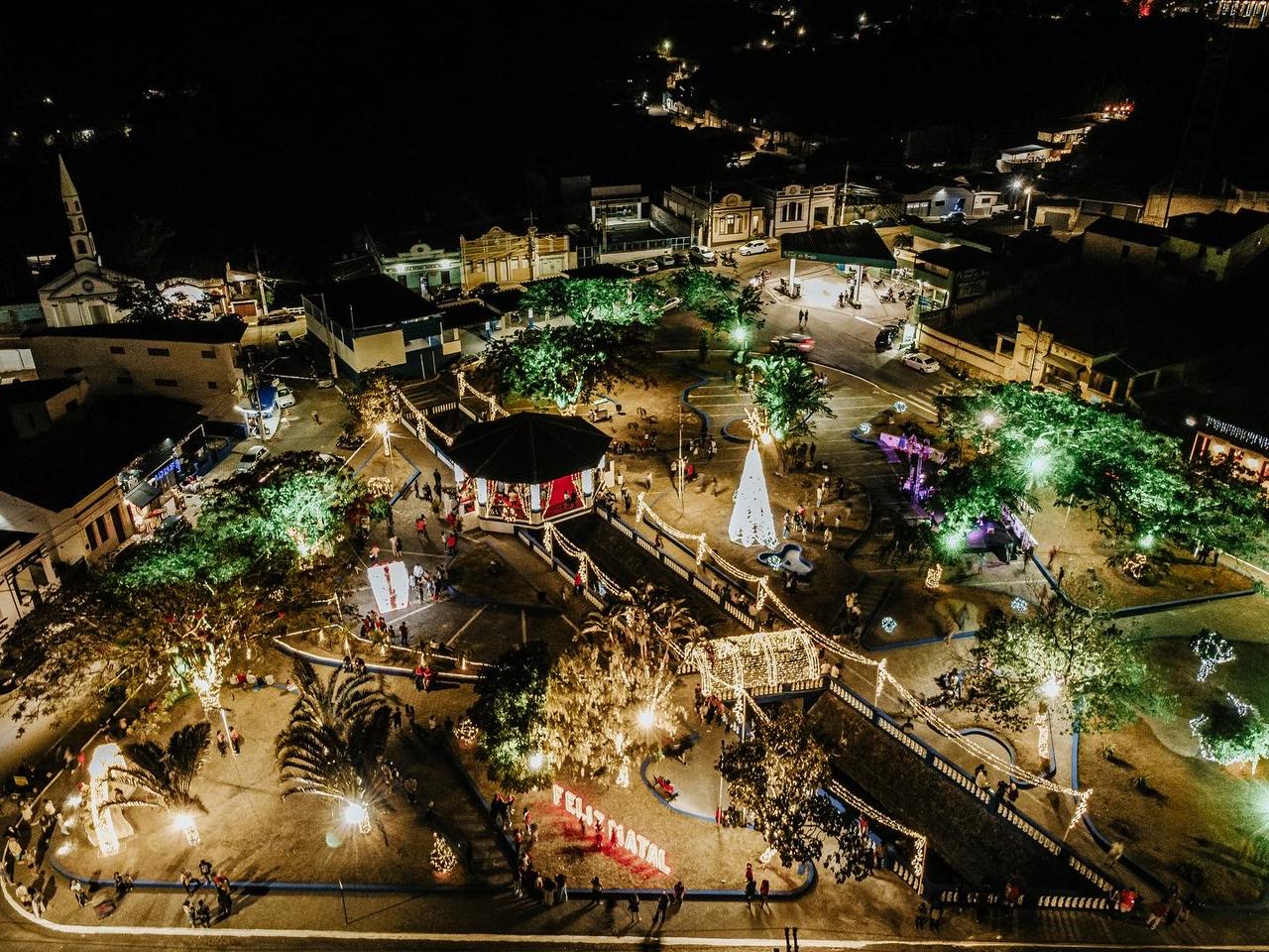 Luzes de Natal Bananeiras