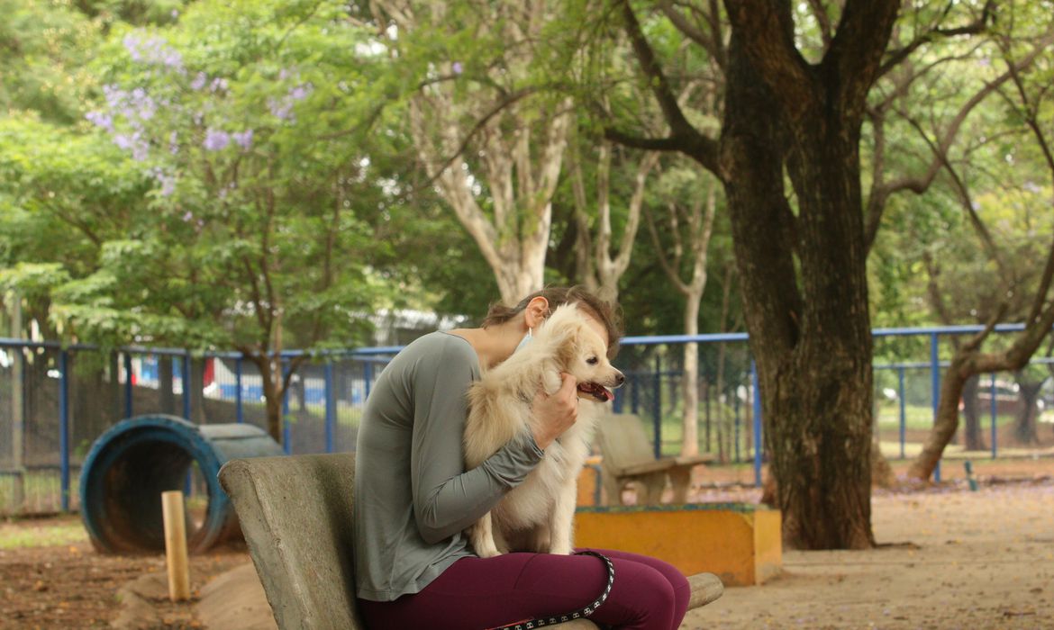 Animais de estimação