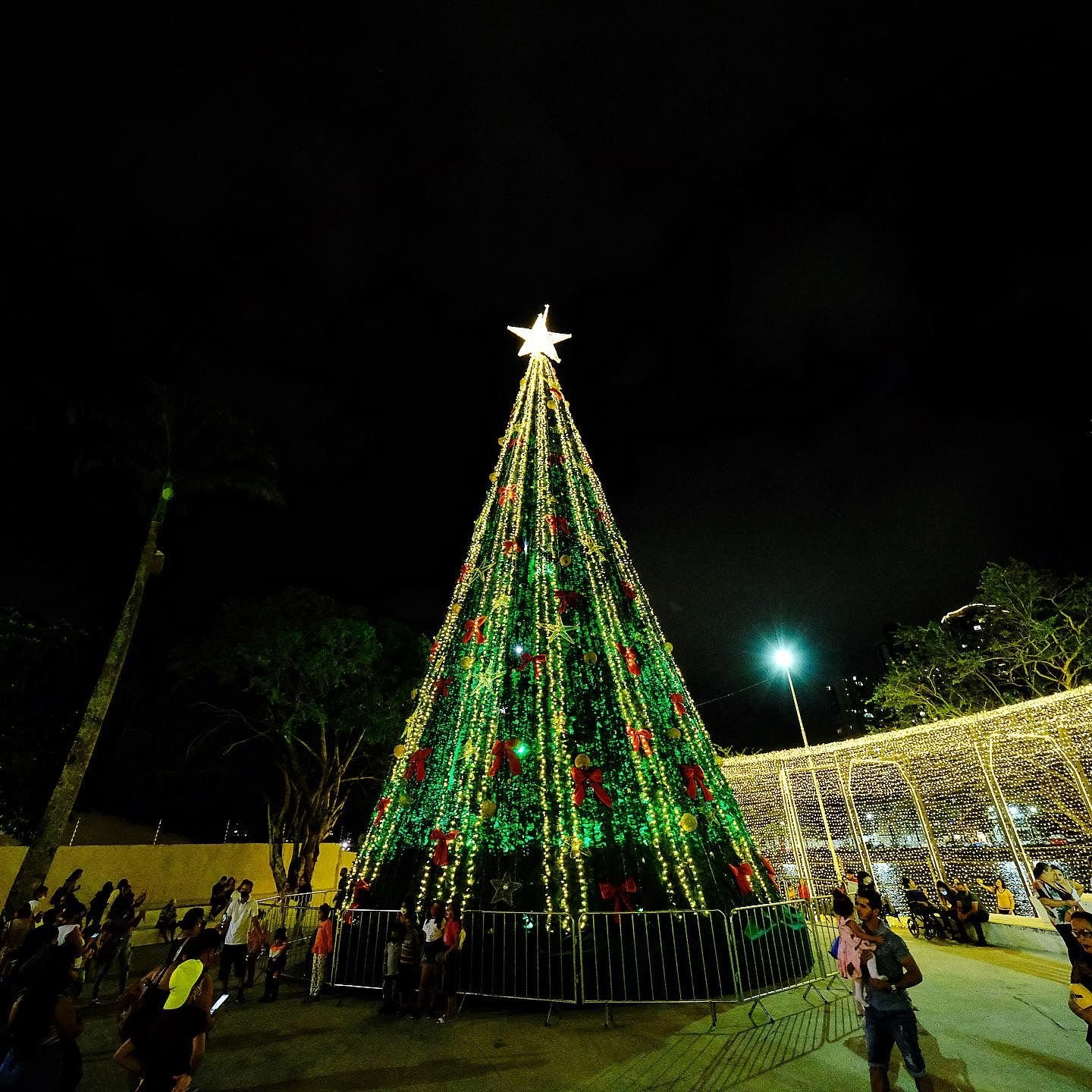 Natal Iluminado PMCG