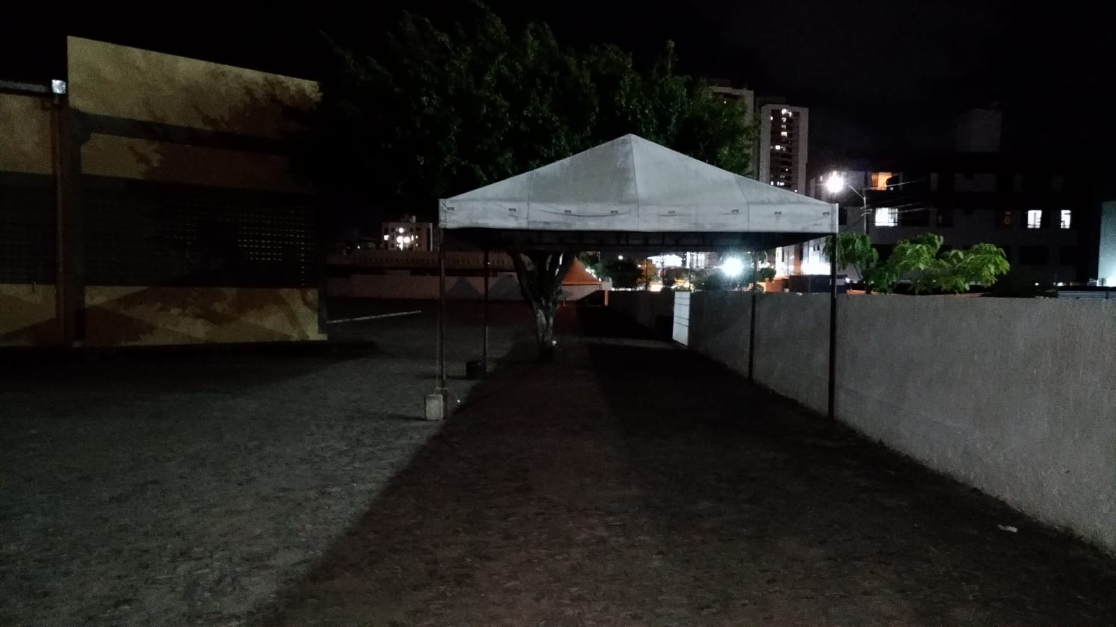 Vacinação