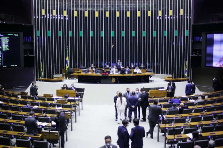 Câmara, Bancada federal, Deputados