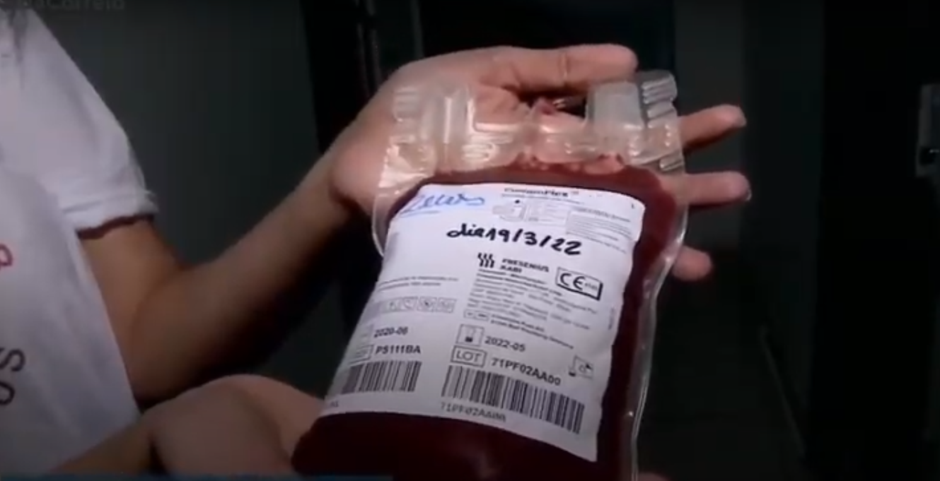 Doação de sangue pets