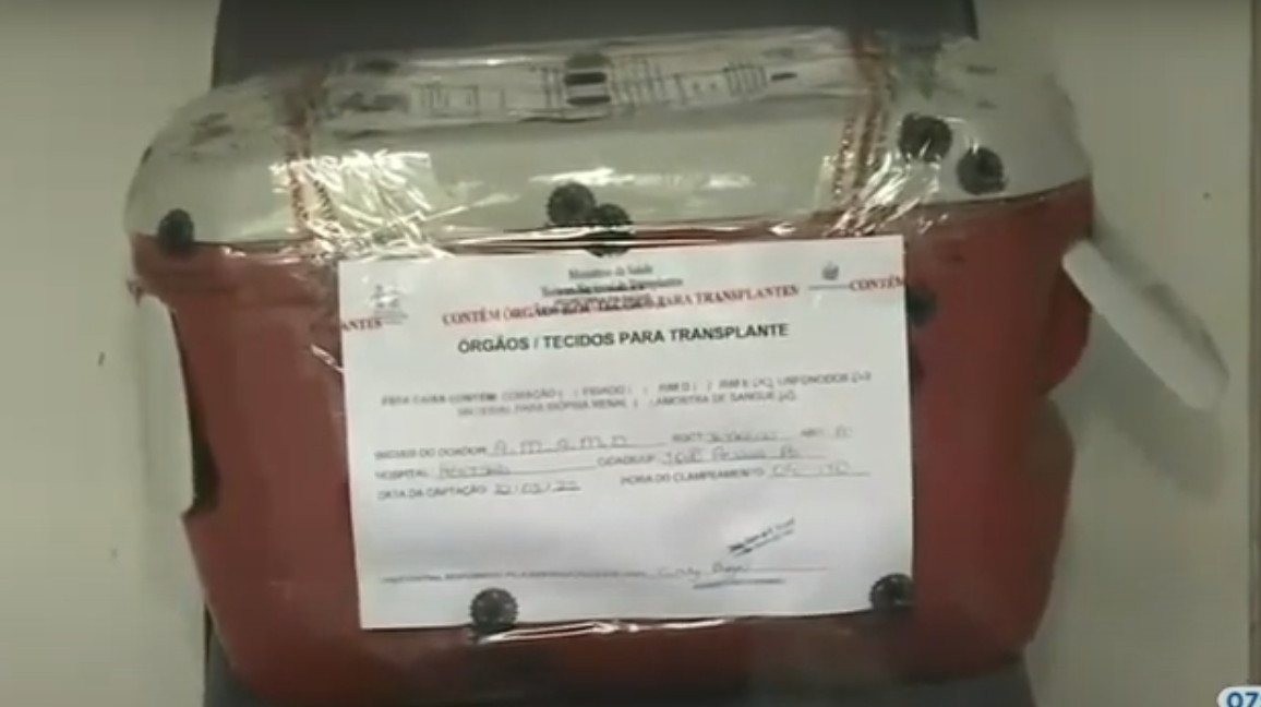 Órgãos