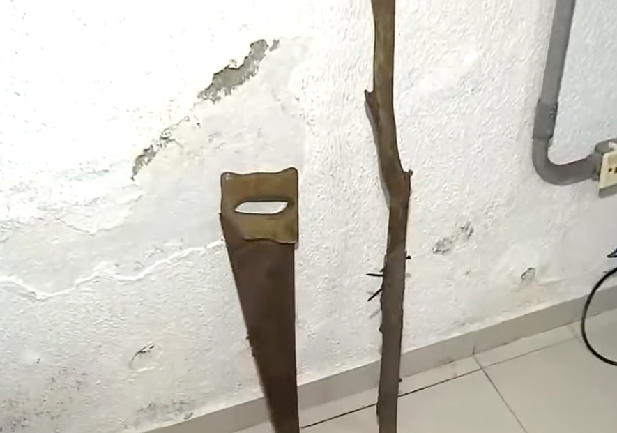 Enteada