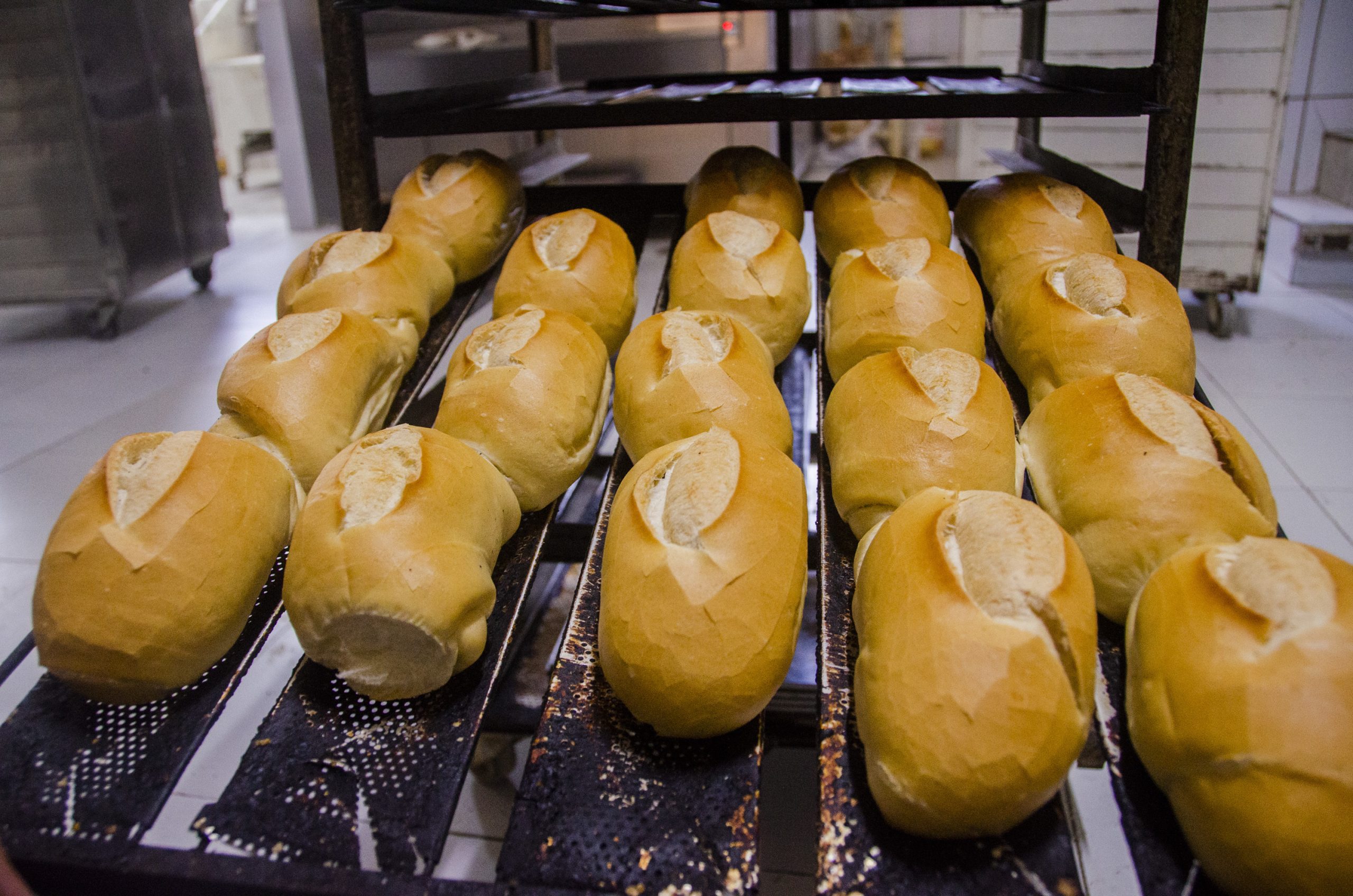 Pão francês