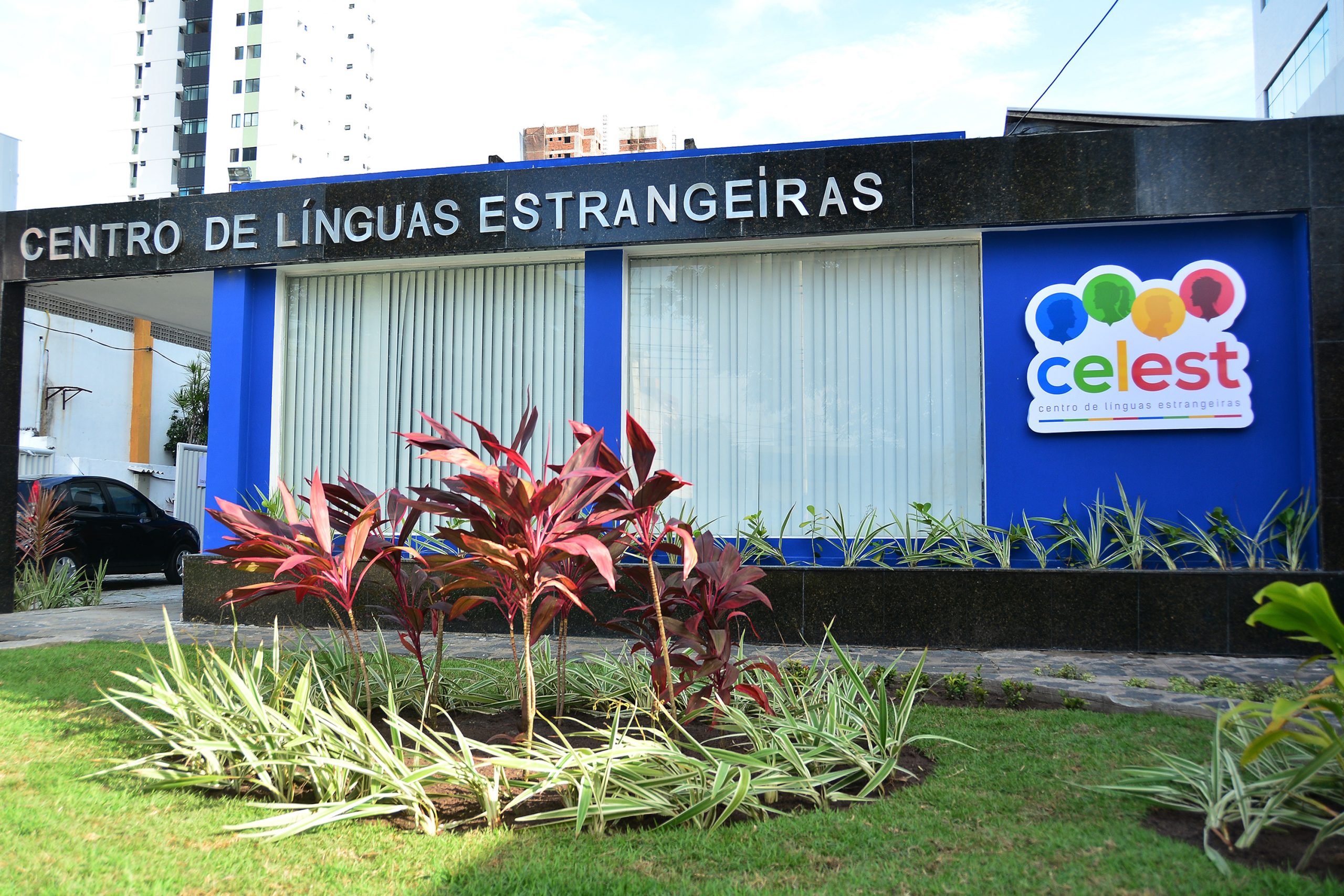 Cursos