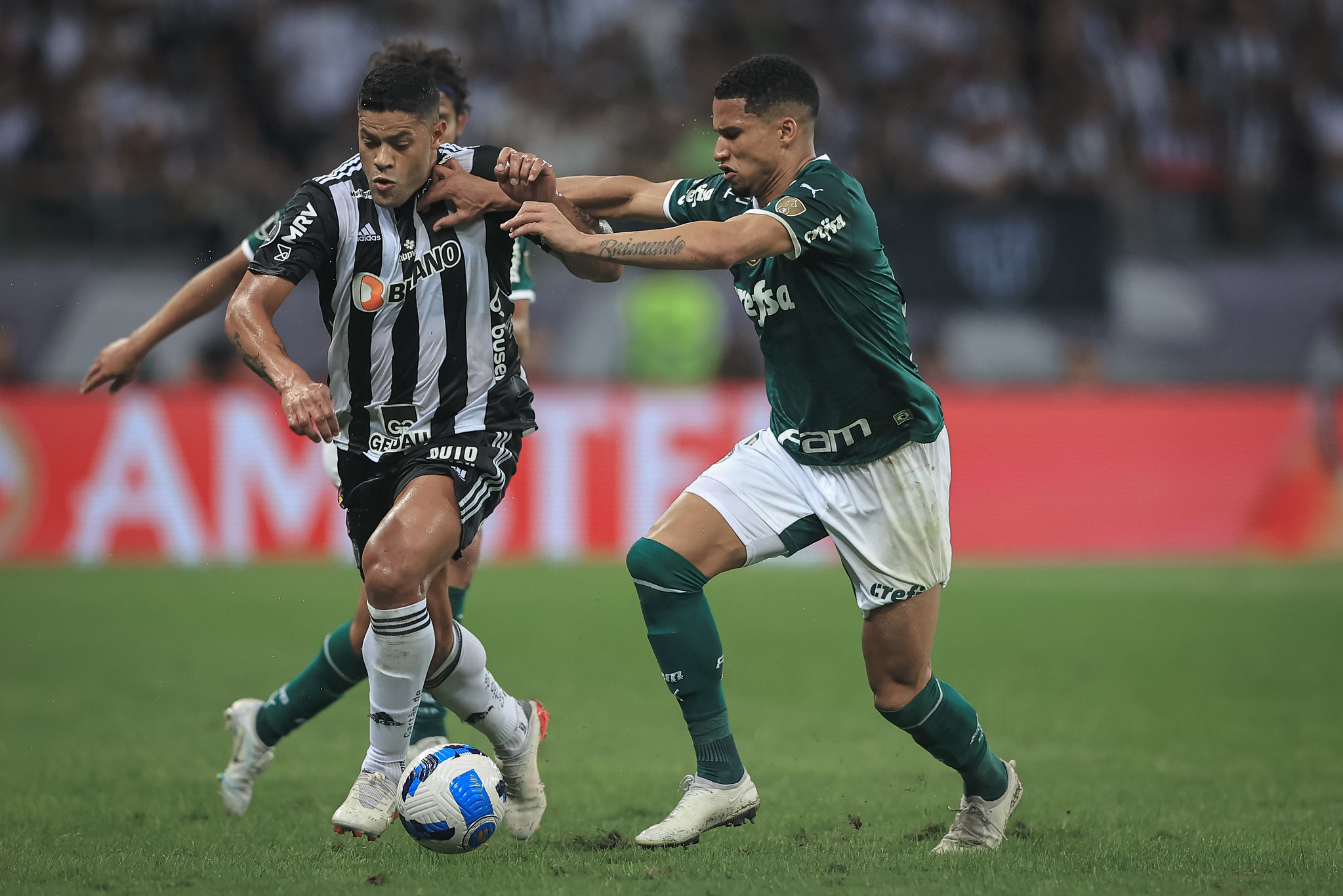Libertadores