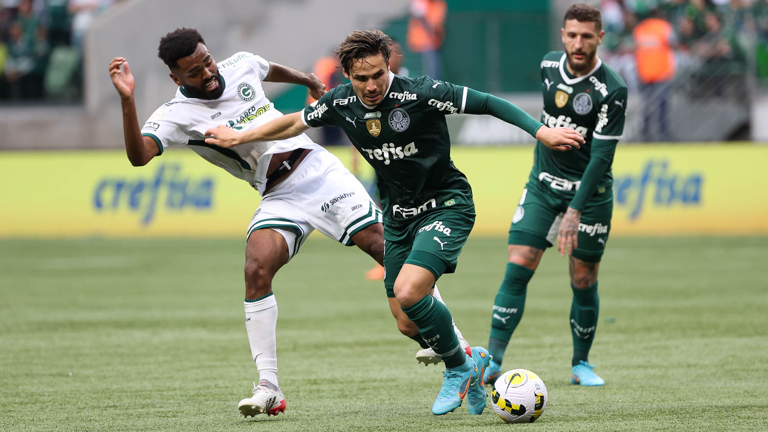 Palmeiras