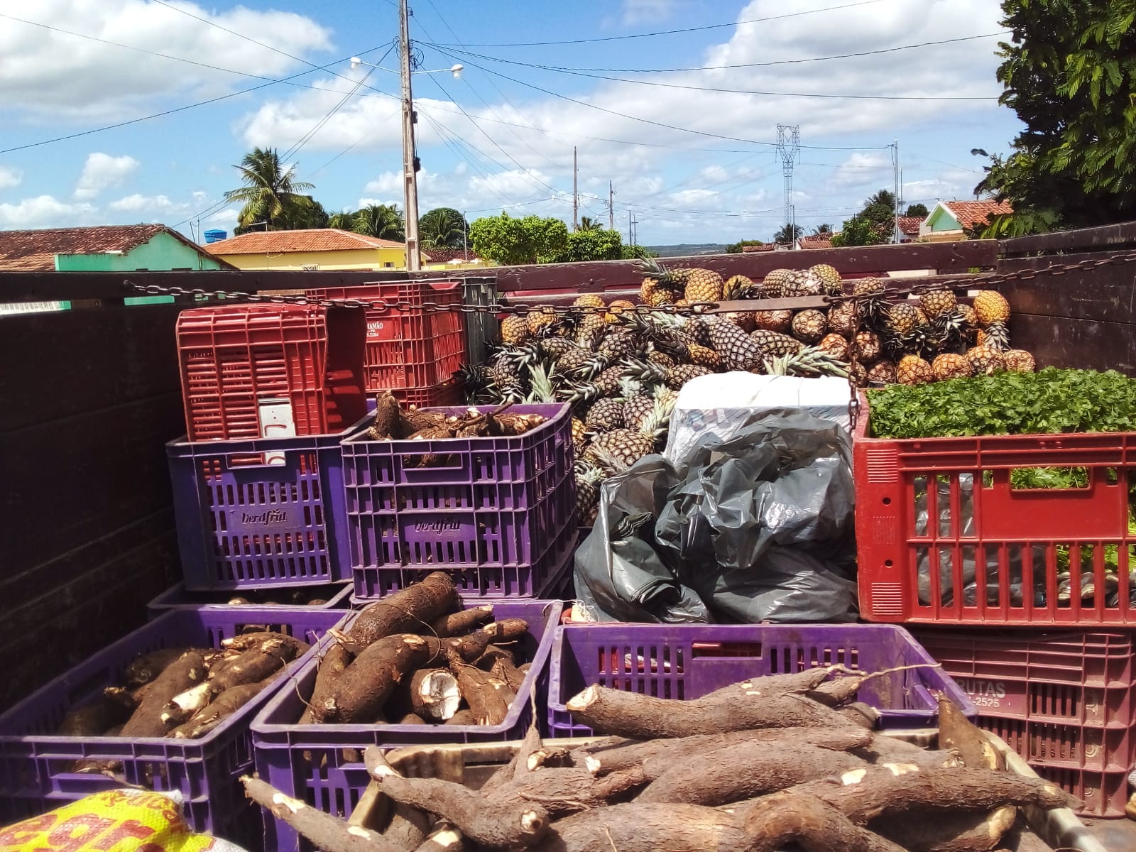 Cooperativa frutas