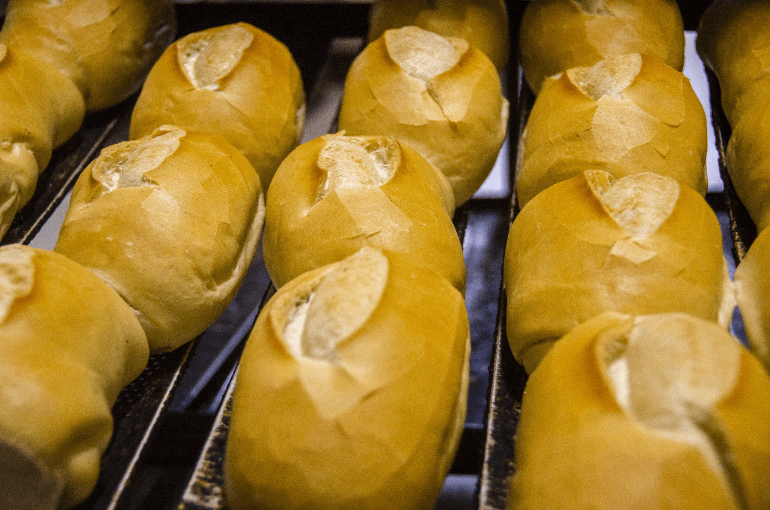 Pão francês