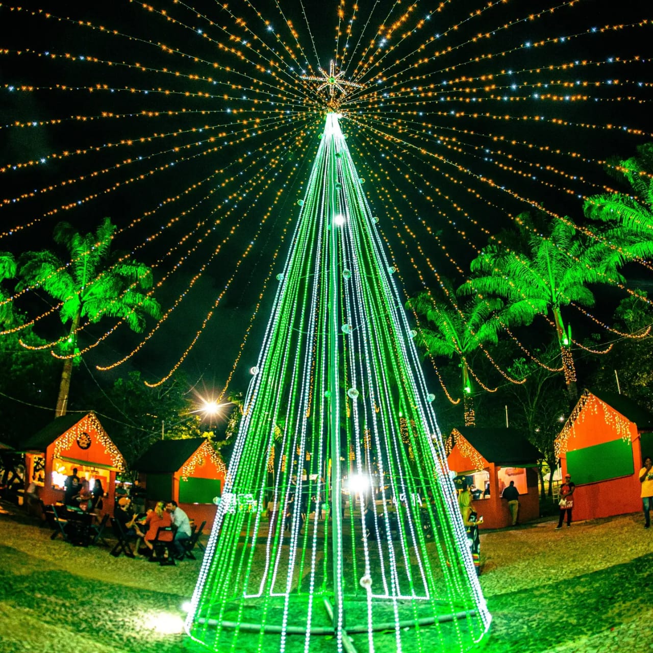 Natal
