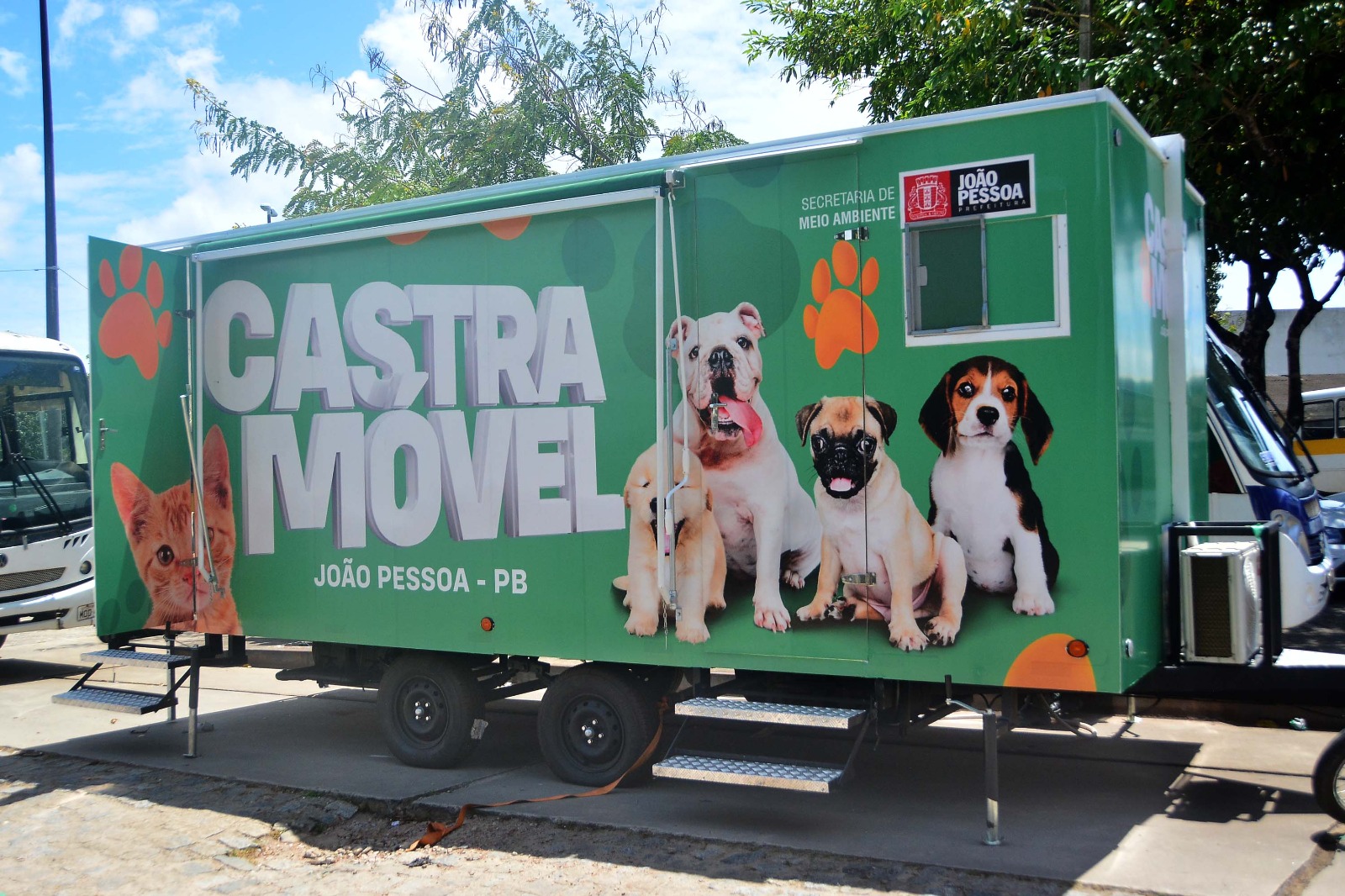 Prefeitura de João Pessoa amplia vagas para castração gratuita de gatos em Mangabeira