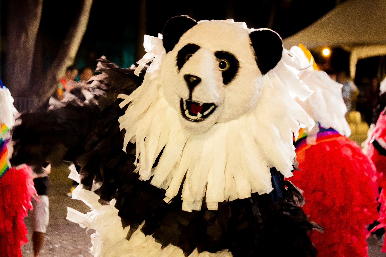 Carnaval Tradição de João Pessoa