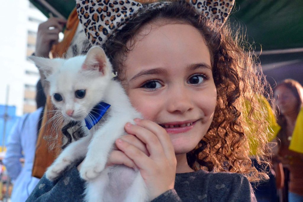 Clínica, Clínica Veterinária, João Pessoa