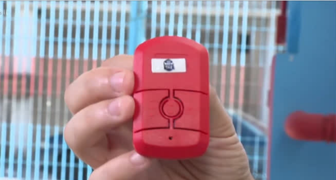 Botâo do pânico