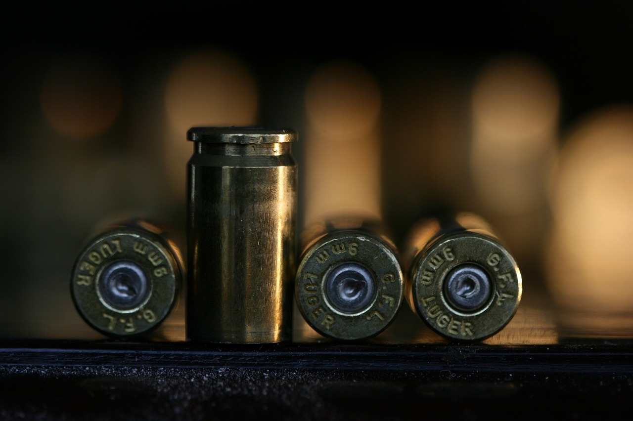 Arma de fogo, Campanha do Desarmamento