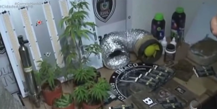 Maconha, Estufa, João Pessoa