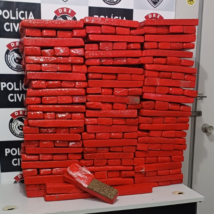 Apreensão maconha Campina Grande