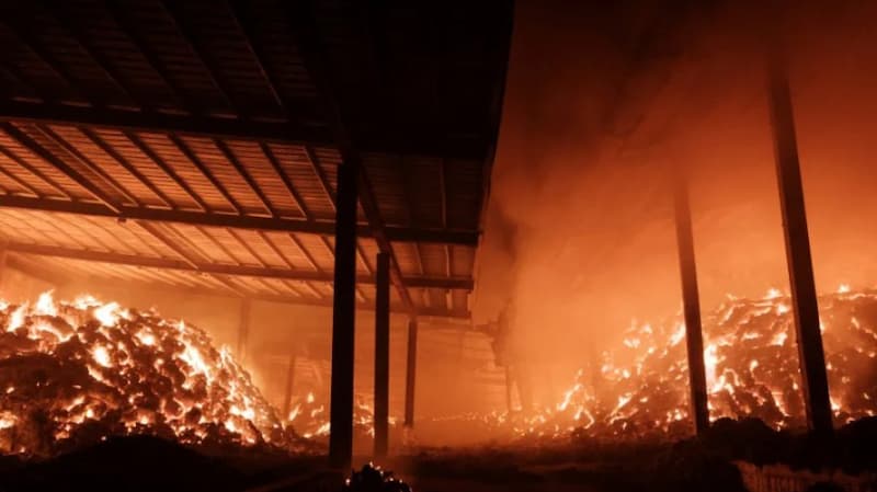 Incêndio florestal Coreia do Sul
