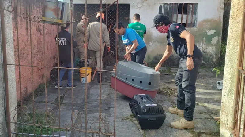 Cães sofrem maus tratos em Campina Grande