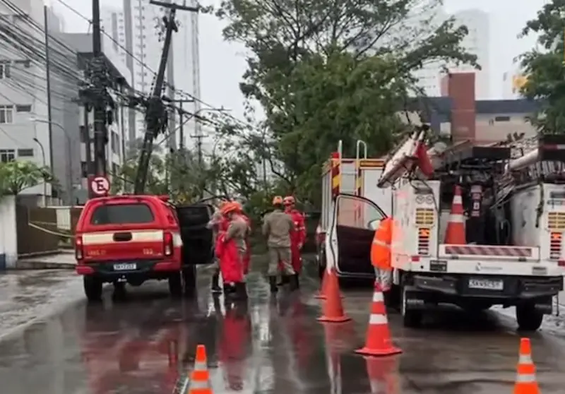 Queda de árvore na Avenida Júlia Freire