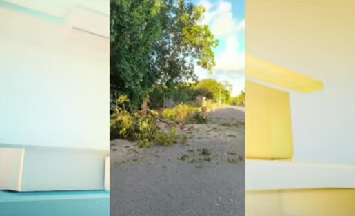 Dois homens ficam feridos após moto bater em galhos de árvore caídos em avenida de João Pessoa