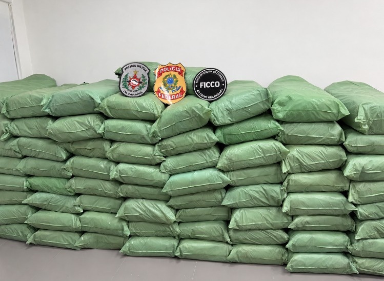Mais de 500 kg de maconha são apreendidos durante ação da Polícia Federal no Sertão