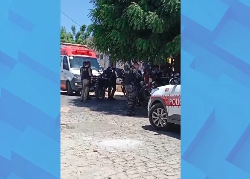 Patos, recém-nascido, morte