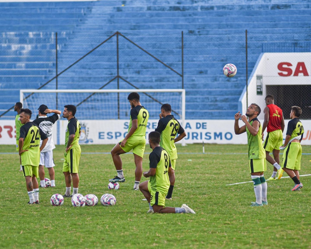 camisa nacional de patos