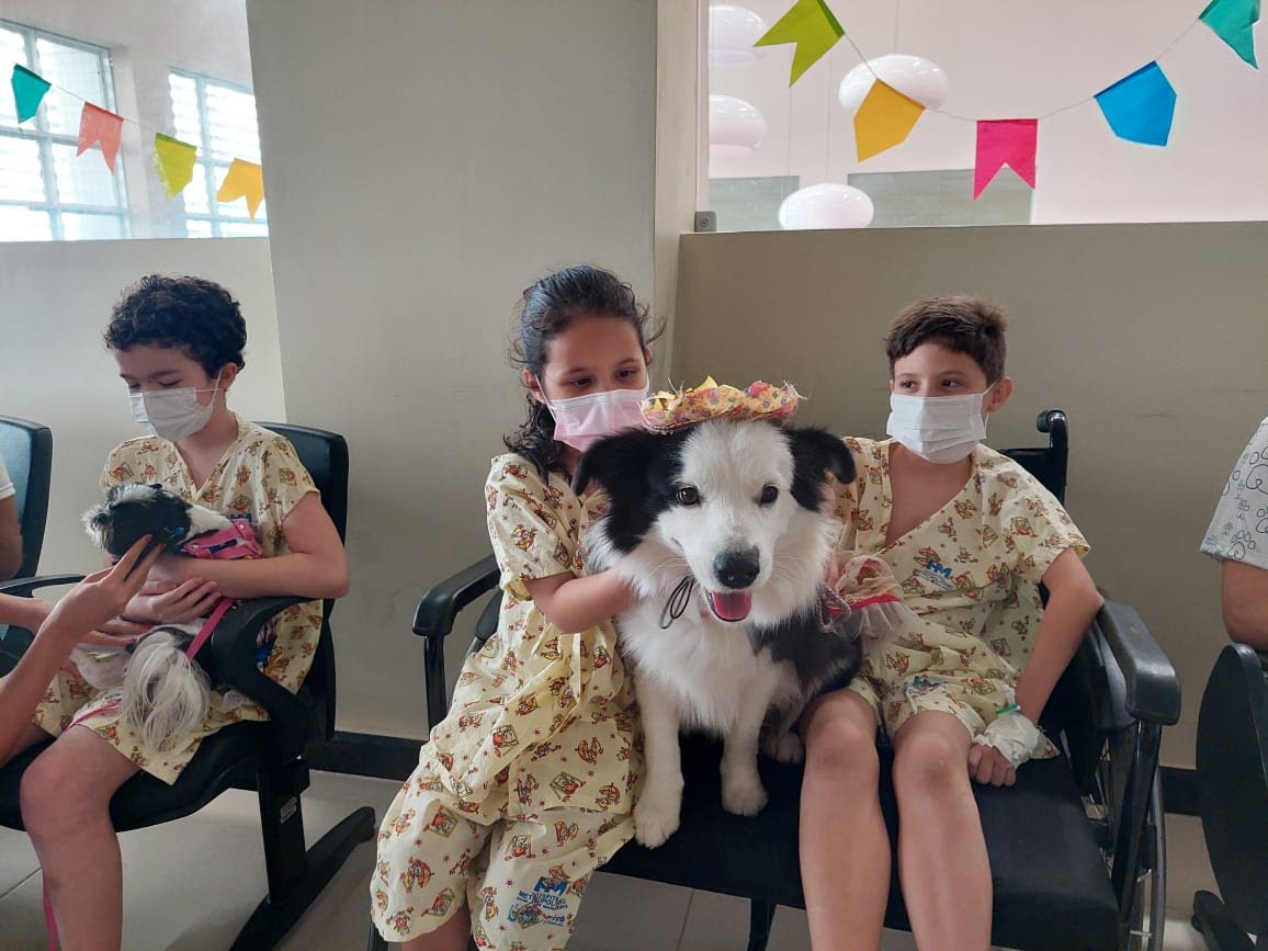 Terapet terapia cães hospital