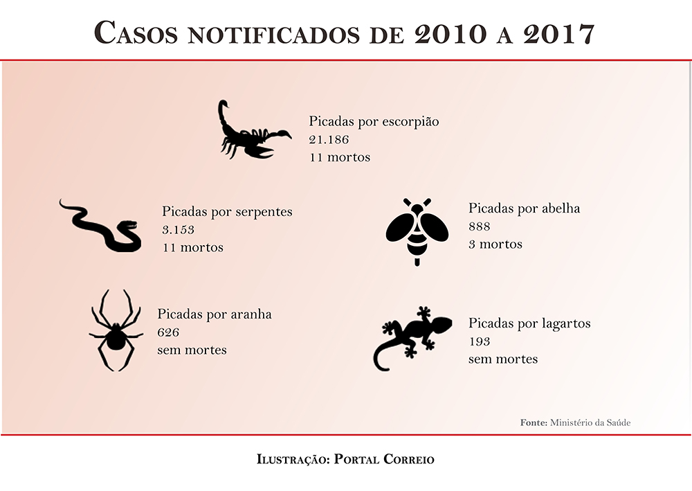 paraiba-ja-soma-mais-de-3-mil-casos-de-picadas-de-animais-peconhentos-em-2018
